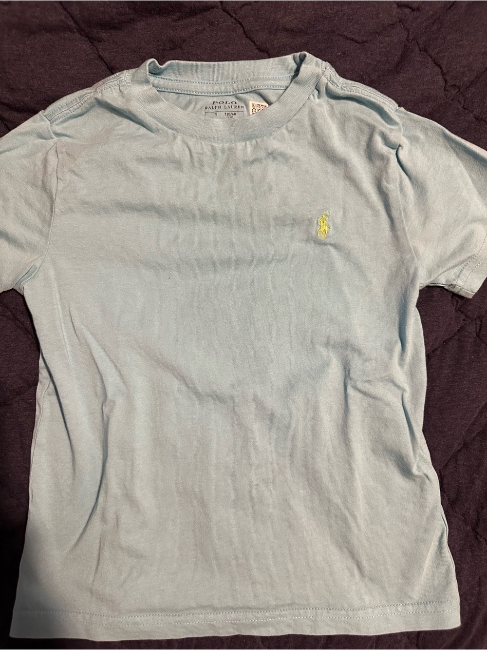 🐎Polo by Ralph Lauren Boy Light Blue Crew Neck Tee